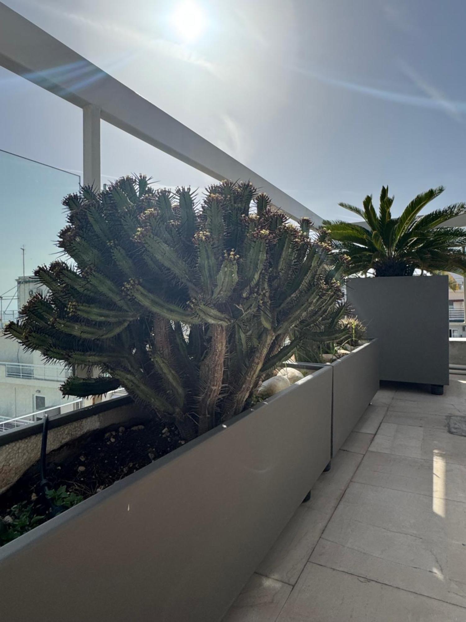 شقة Sea Horizon Penthouse Flat أثينا المظهر الخارجي الصورة